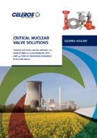 CV Nuclear Valves
